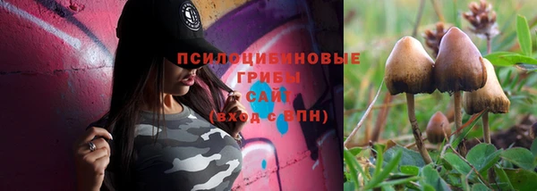 прущий лед Осинники
