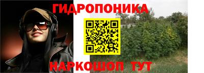 шишки Балахна